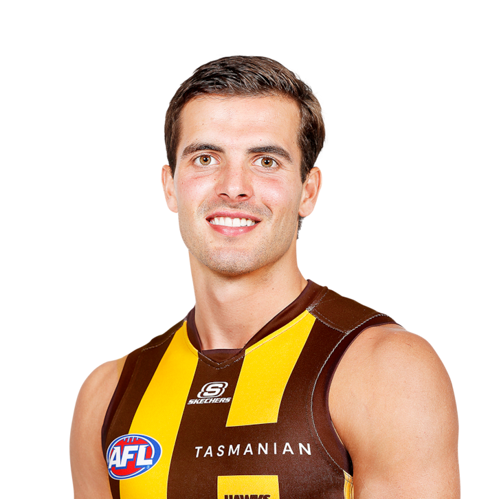 Hawthorn Hawks News AFL 2024 Zero Hanger